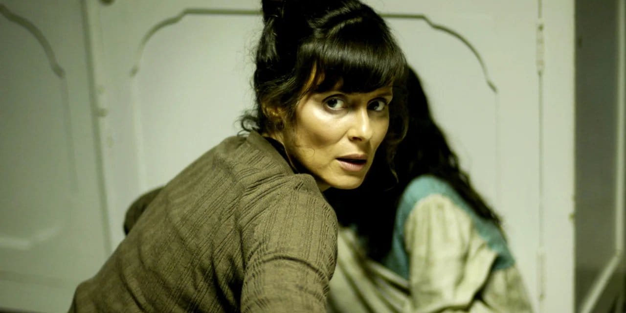 The Backwoods backdrop