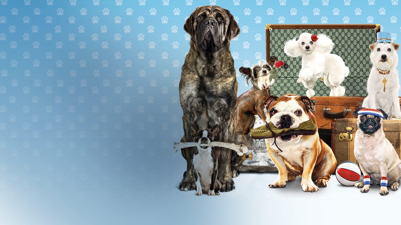 Hotel for Dogs backdrop