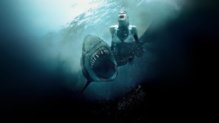 Shark Night backdrop