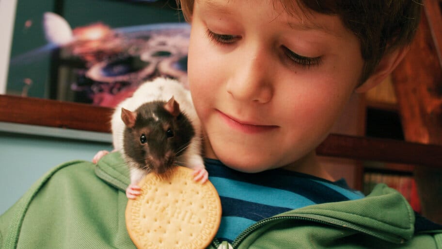 Svein og rotta og UFO-mysteriet backdrop