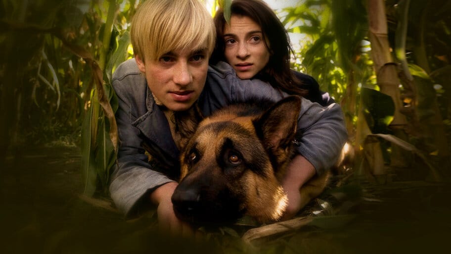 Sniff the Dog the War Hero backdrop