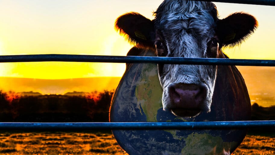 Cowspiracy: The Sustainability Secret backdrop