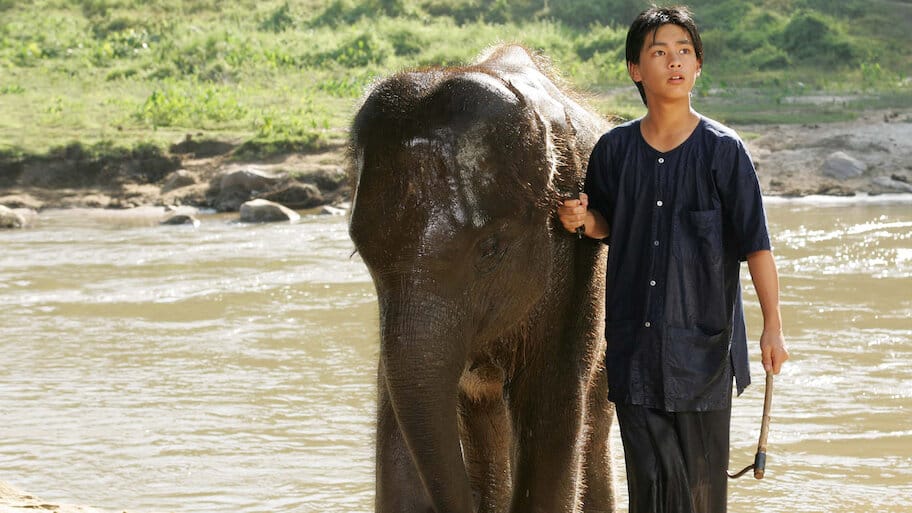 星になった少年 Shining Boy & Little Randy backdrop