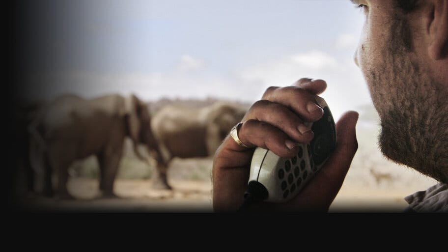 The Ivory Game backdrop