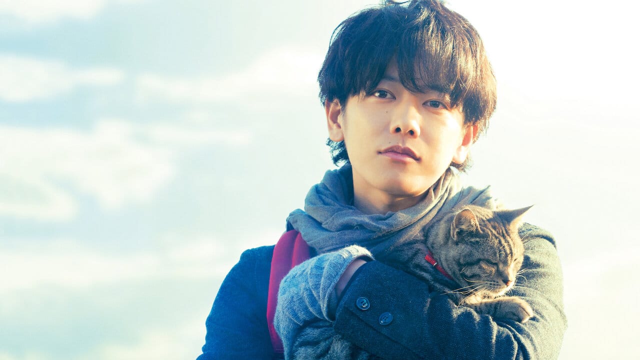 If Cats Disappeared from the World backdrop