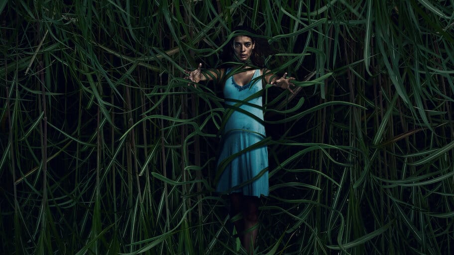 In the Tall Grass backdrop