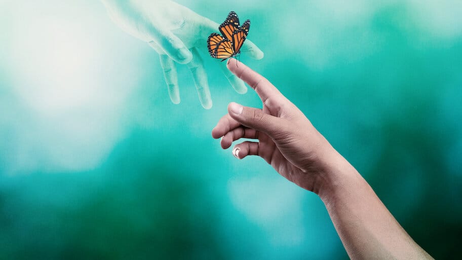 Surviving Death backdrop