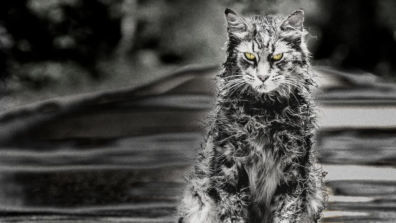 Pet Sematary backdrop