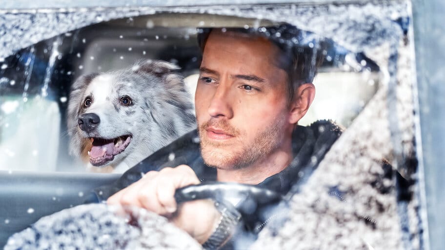 The Noel Diary backdrop