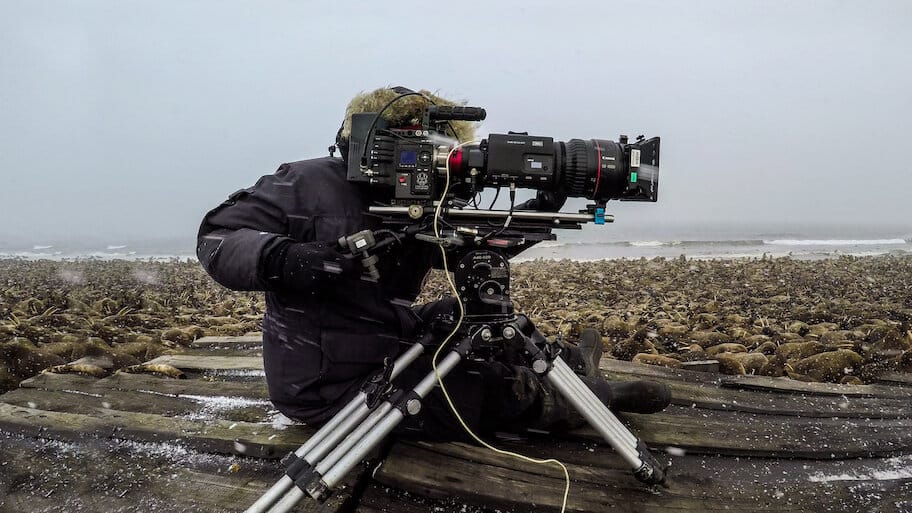 Our Planet - Behind The Scenes backdrop