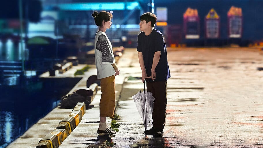 When the Camellia Blooms backdrop