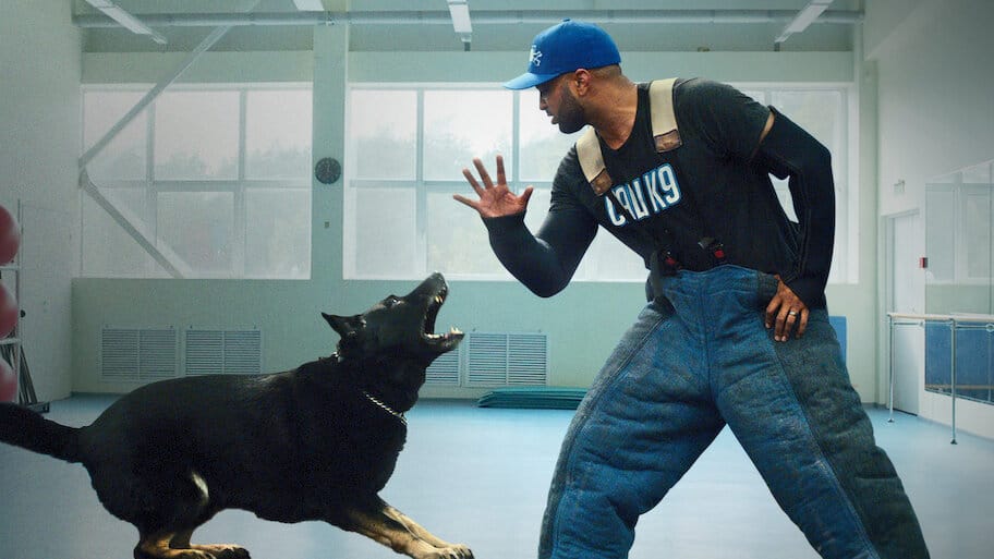 Canine Intervention backdrop