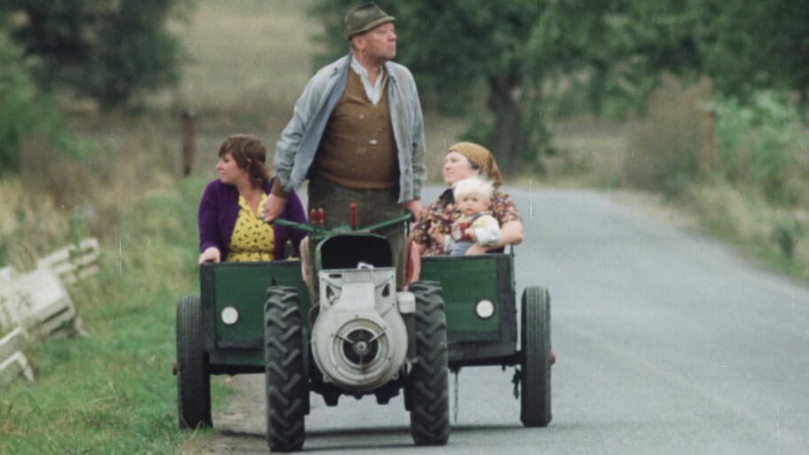The Snowdrop Festival backdrop