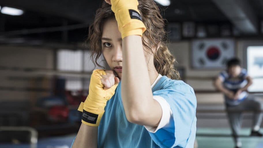 My Punch-Drunk Boxer backdrop