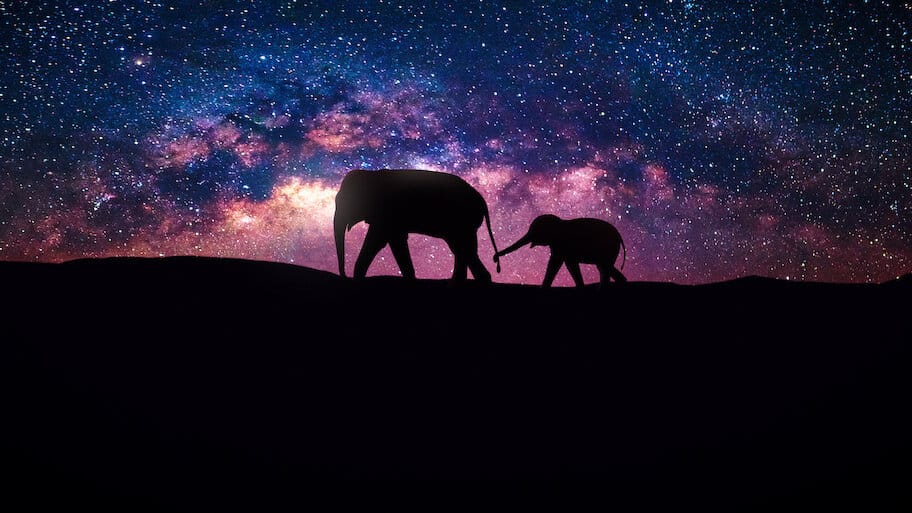 Our Universe backdrop