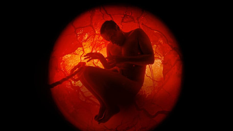 A Whole Lifetime with Jamie Demetriou backdrop