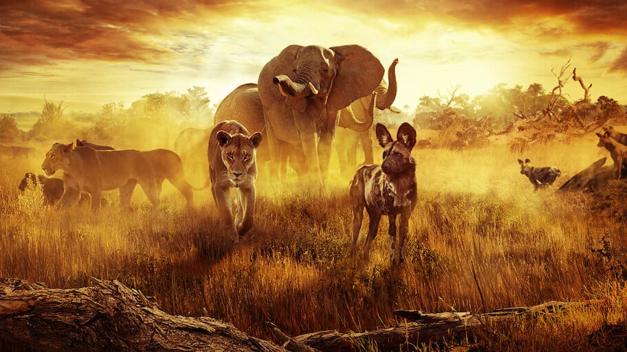 Surviving Paradise: A Family Tale backdrop