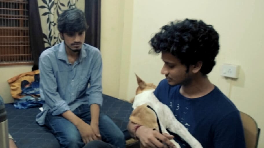 Alma Matters backdrop