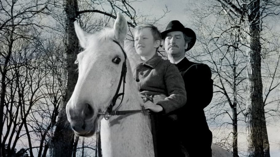 The Brig Three Lilies backdrop