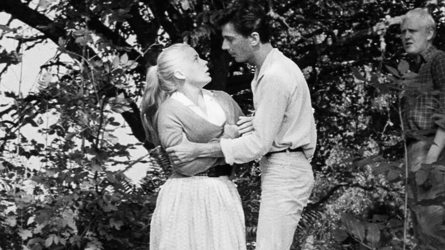 The Boy in the Tree backdrop