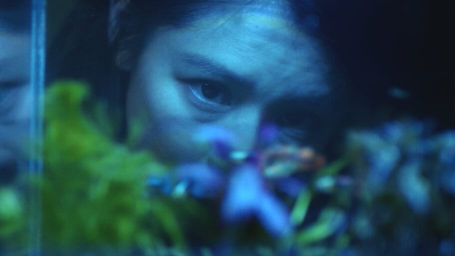 The Tag-Along: The Devil Fish backdrop