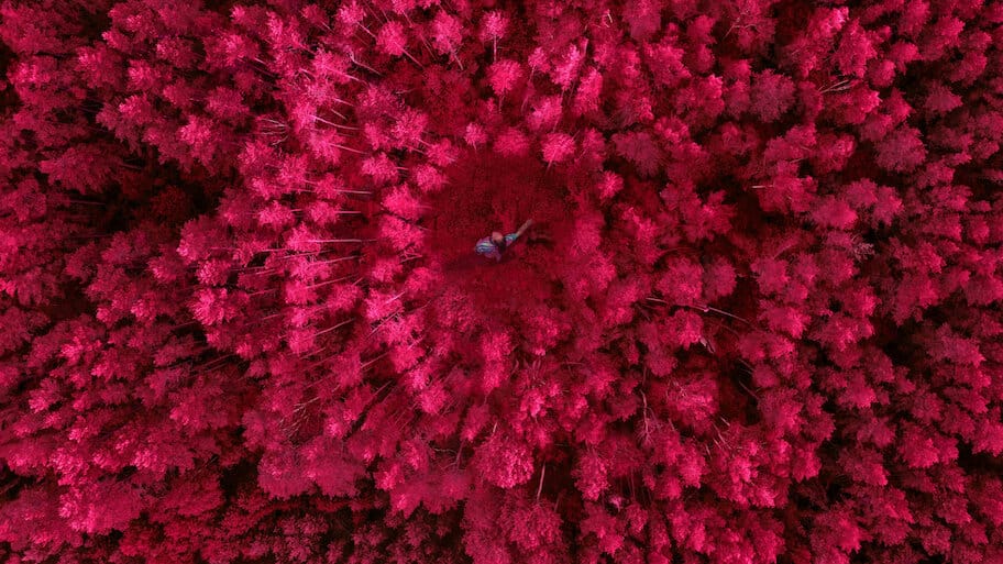 Kleks Academy backdrop