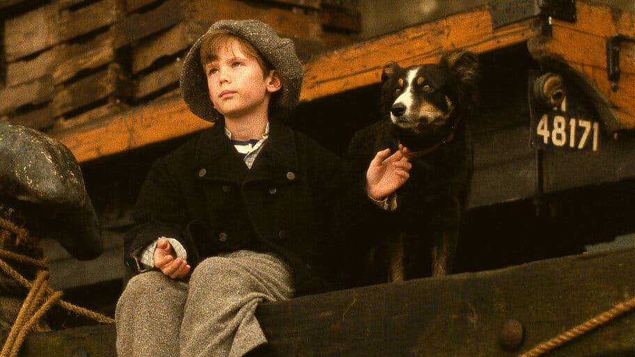 Little Crumb backdrop