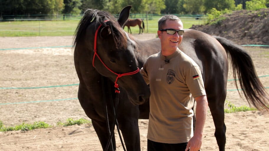 Silent Comrade backdrop