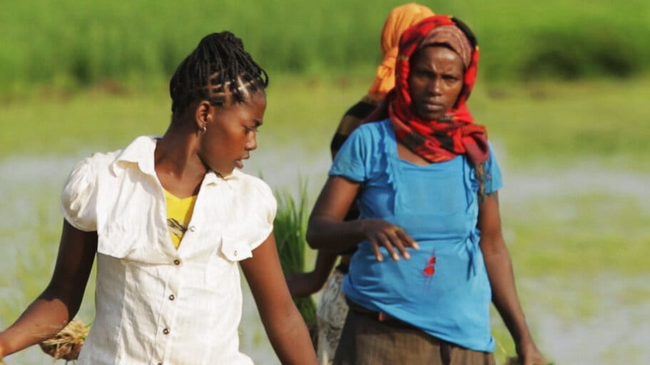 Dead Donkeys Fear No Hyenas backdrop