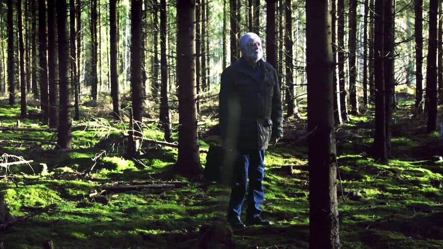 Giants And The Morning After backdrop