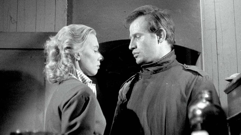 Seagulls Die in the Harbour backdrop