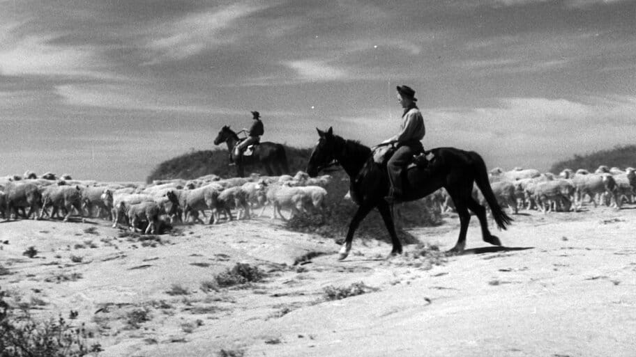 Bitter Springs backdrop