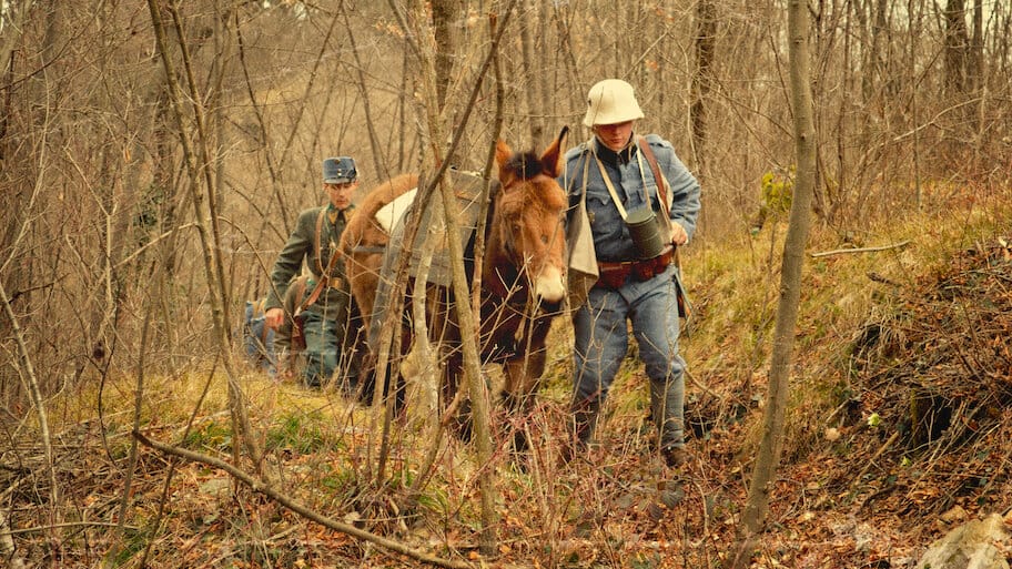 Animals In The Great War backdrop