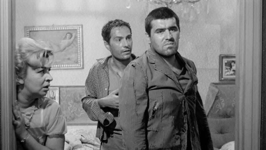 On The Tiger's Back backdrop