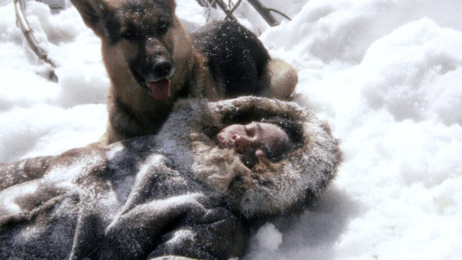 Challenge To White Fang backdrop