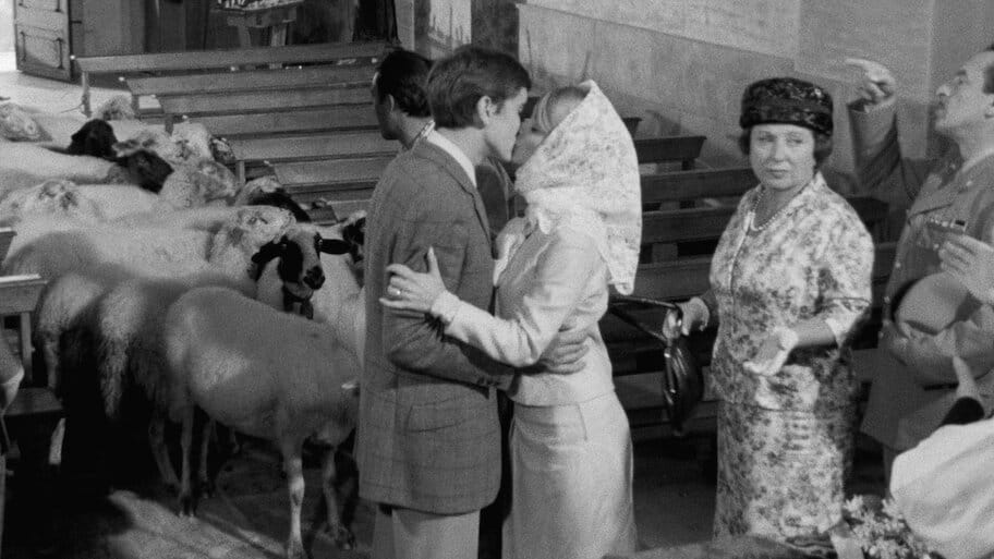 Don't Ever Leave Me backdrop