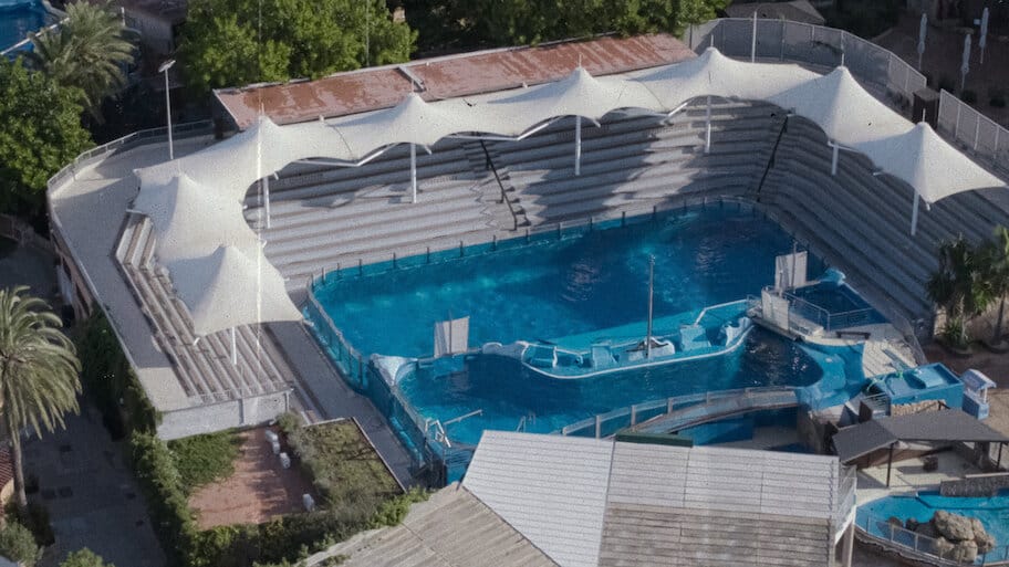 The Last Dolphin King backdrop