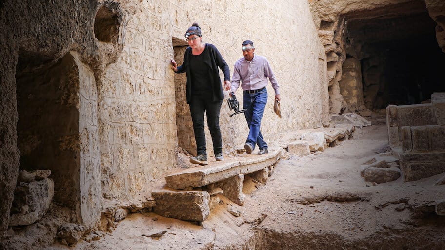 The Mysterious Mummified Dogs of Ancient Egypt backdrop