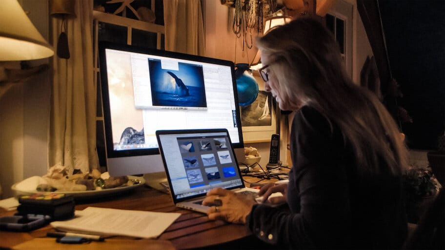 The Women Saving Our Seas backdrop