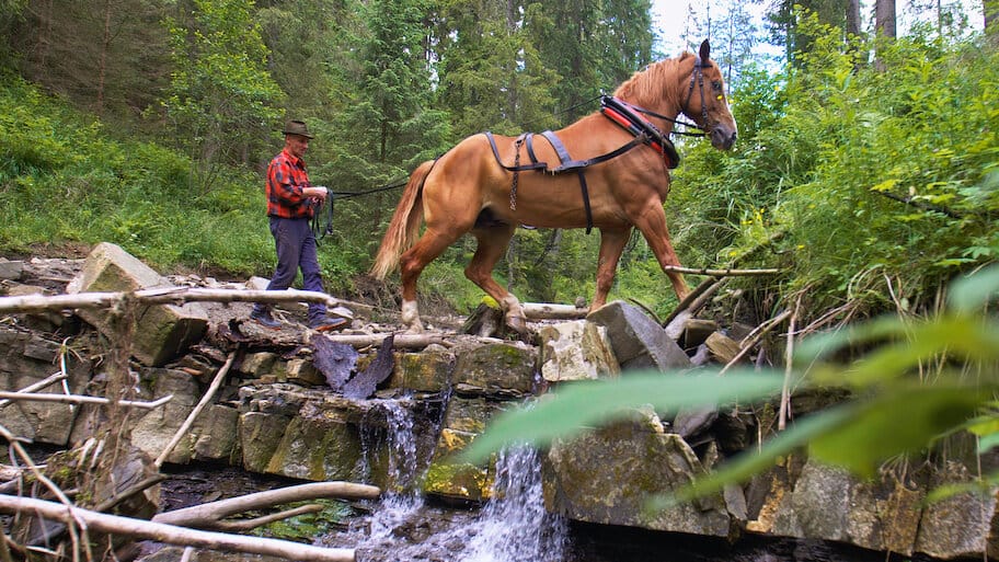 The Gorals - Highlanders of Carpathia backdrop