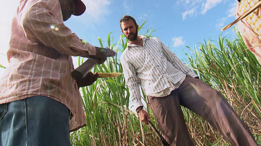 Story of...Sugar backdrop