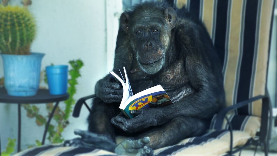 See No Evil backdrop