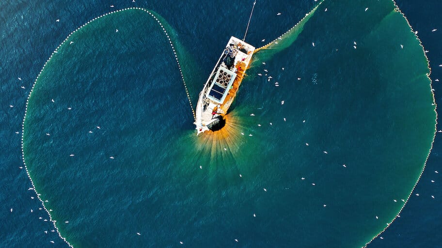 Fishing for Bluefin Tuna backdrop