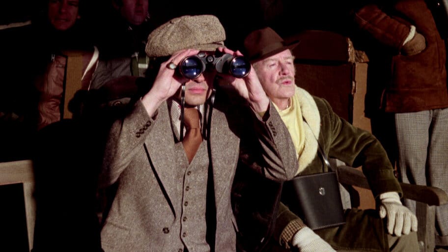 The Playbirds backdrop