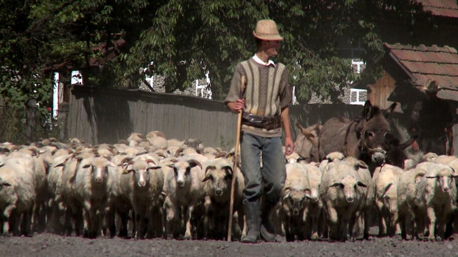 Off the Beaten Track backdrop