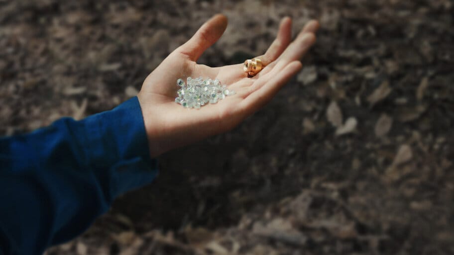 The Coyotes backdrop