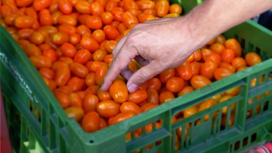 Urban Farming backdrop