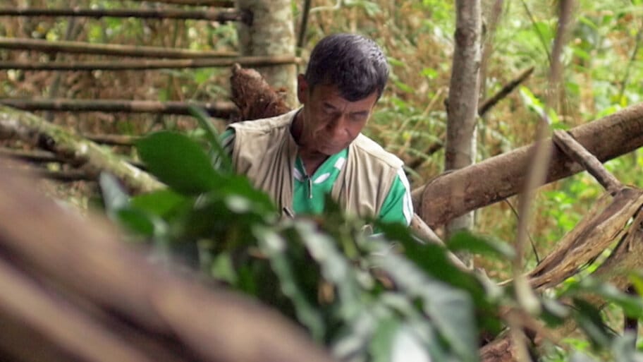 Unpaved Road to Peace backdrop