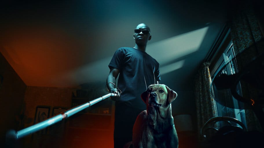 In His Shadow backdrop