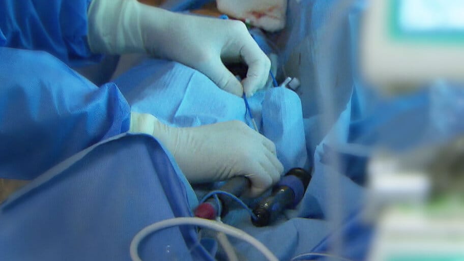 Human Hearts: The Engine of Life backdrop